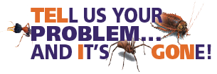 Tell Us Your Problem And It's Gone
